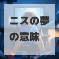 ニスの夢のサムネイル