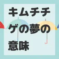 キムチチゲの夢のサムネイル画像