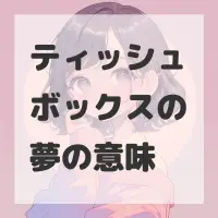 ティッシュボックスの夢のサムネイル画像