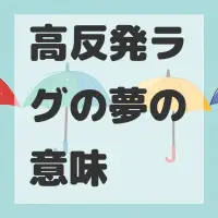 高反発ラグの夢のサムネイル画像