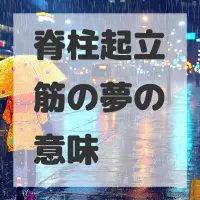 脊柱起立筋の夢のサムネイル