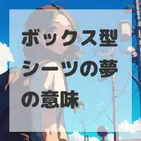 ボックス型シーツの夢のサムネイル画像
