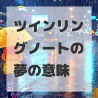 ツインリングノートの夢のサムネイル画像