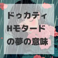 ドゥカティ Hモタードの夢のサムネイル