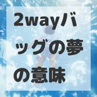 2wayバッグの夢のサムネイル画像