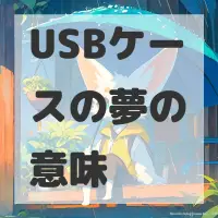 USBケースの夢のサムネイル画像