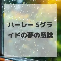ハーレー Sグライドの夢のサムネイル画像
