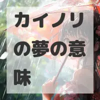 カイノリの夢のサムネイル画像