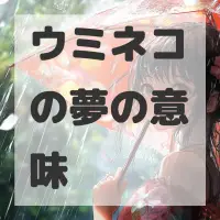 ウミネコの夢のサムネイル画像