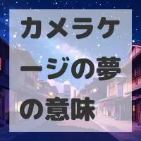 カメラケージの夢のサムネイル画像