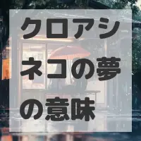 クロアシネコの夢のサムネイル画像