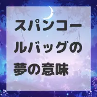スパンコールバッグの夢のサムネイル画像