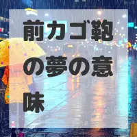 前カゴ鞄の夢のサムネイル画像