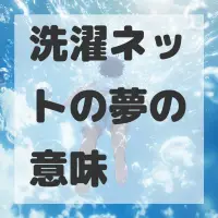 洗濯ネットの夢のサムネイル