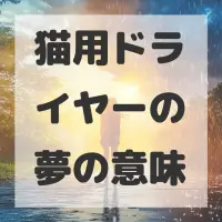 猫用ドライヤーの夢のサムネイル画像