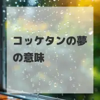 コッケタンの夢のサムネイル画像