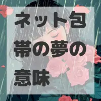 ネット包帯の夢のサムネイル画像