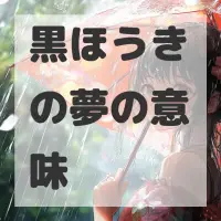 黒ほうきの夢のサムネイル画像