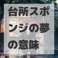 台所スポンジの夢のサムネイル画像