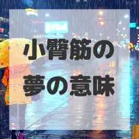小臀筋の夢のサムネイル