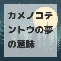 カメノコテントウの夢のサムネイル画像