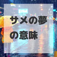 サメの夢のサムネイル画像
