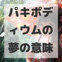 パキポディウムの夢のサムネイル