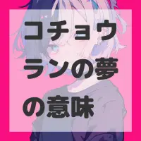 コチョウランの夢のサムネイル画像