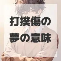 打撲傷の夢のサムネイル画像