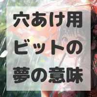 穴あけ用ビットの夢のサムネイル画像