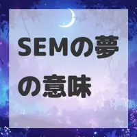 SEMの夢のサムネイル画像