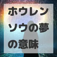 ホウレンソウの夢のサムネイル画像