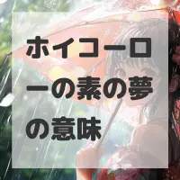 ホイコーローの素の夢のサムネイル画像