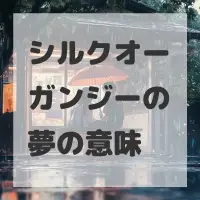 シルクオーガンジーの夢のサムネイル画像