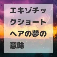 エキゾチックショートヘアの夢のサムネイル画像