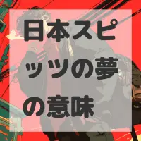 日本スピッツの夢のサムネイル画像