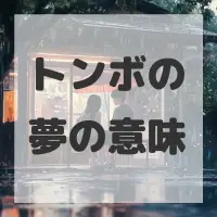 トンボの夢のサムネイル