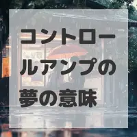 コントロールアンプの夢のサムネイル