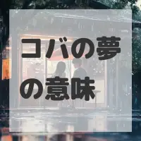 コバの夢のサムネイル