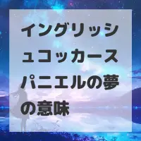 イングリッシュコッカースパニエルの夢のサムネイル画像