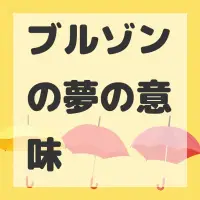 ブルゾンの夢のサムネイル画像