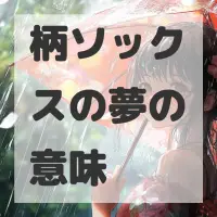 柄ソックスの夢のサムネイル
