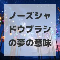 ノーズシャドウブラシの夢のサムネイル画像