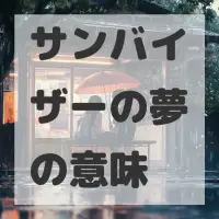 サンバイザーの夢のサムネイル画像