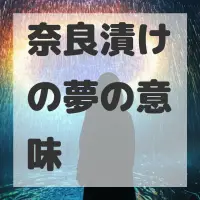 奈良漬けの夢のサムネイル画像