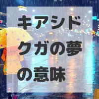キアシドクガの夢のサムネイル画像