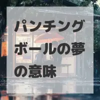 パンチングボールの夢のサムネイル画像