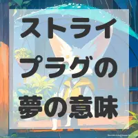 ストライプラグの夢のサムネイル画像