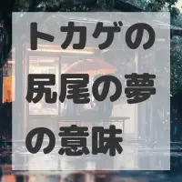 トカゲの尻尾の夢のサムネイル画像