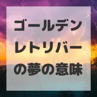 ゴールデンレトリバーの夢のサムネイル画像